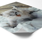 kleine baby kitten poster (Hoek)