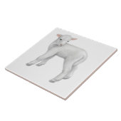 Kleine Baby Lamb  tegel Tegeltje (Zijkant)