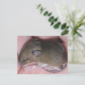 Kleine Baby muis met slaapstand Briefkaart (Staand voorkant)