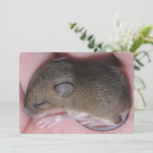 Kleine Baby muis met slaapstand Kaart (Staand voorkant)