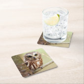 Kleine Baby | Ontarios Kartonnen Onderzetters (Insitu)