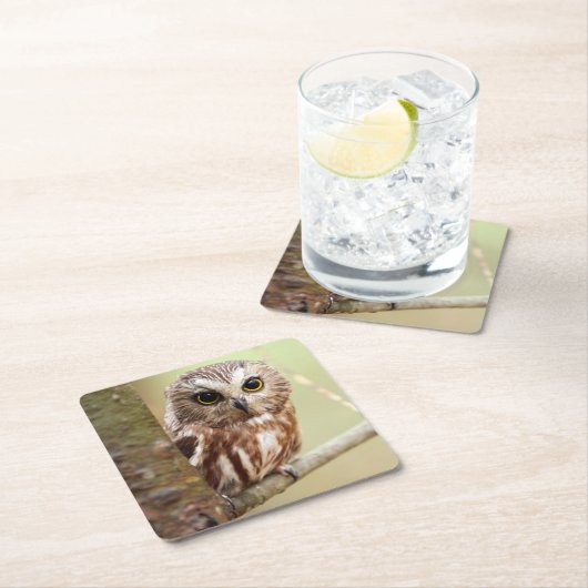 Kleine Baby | Ontarios Kartonnen Onderzetters (Insitu)