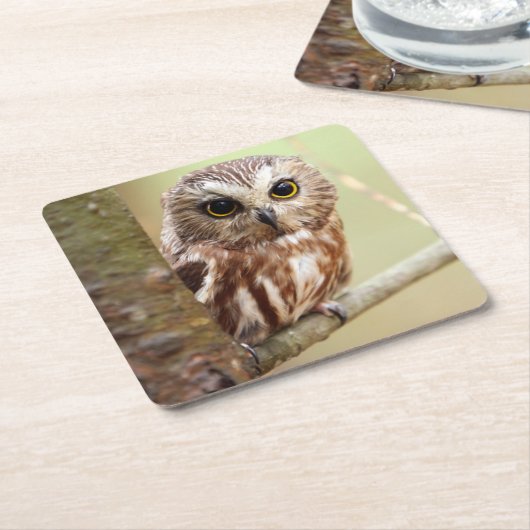 Kleine Baby | Ontarios Kartonnen Onderzetters (Schuin)