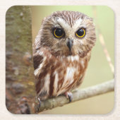 Kleine Baby | Ontarios Kartonnen Onderzetters (Voorkant)