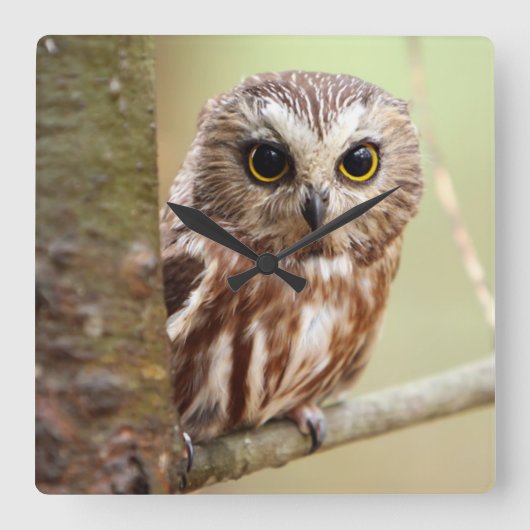 Kleine Baby | Ontarios Vierkante Klok (Voorkant)