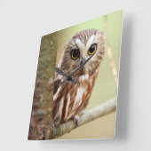 Kleine Baby | Ontarios Vierkante Klok (Hoek)