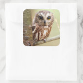 Kleine Baby | Ontarios Vierkante Sticker (Tas)