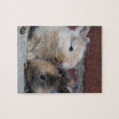KLEINE BABY UITKERINGEN LEGPUZZEL (Horizontaal)