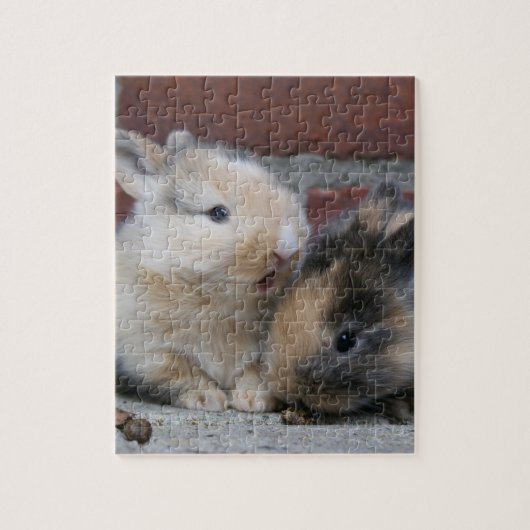 KLEINE BABY UITKERINGEN LEGPUZZEL (Verticaal)