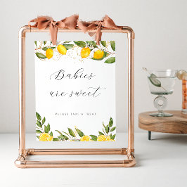 Kleine baby's van het Baby shower van de luie zome Poster