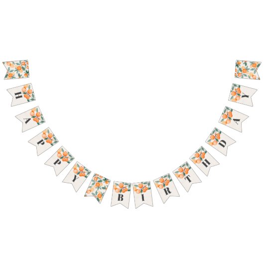 kleine balies blij verjaardagsbanner oranje verjaa vlaggetjes (Alle)