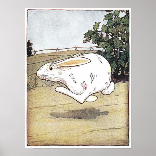 Kleine Beestjes Kinderboek Illustratie Poste Poster (Voorkant)