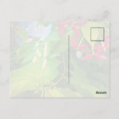 Kleine Beginnings Schrift Quote Inspirerend Briefkaart (Achterkant)