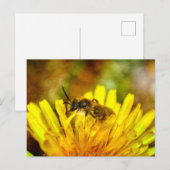 Kleine Biene Briefkaart (Voorkant / Achterkant)