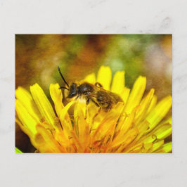 Kleine Biene Briefkaart