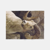 Kleine Big Horn Sheep Fleece Blanket Deken (Voorkant (Horizontaal))