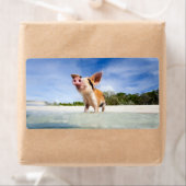 Kleine biggetje etiket (Insitu)