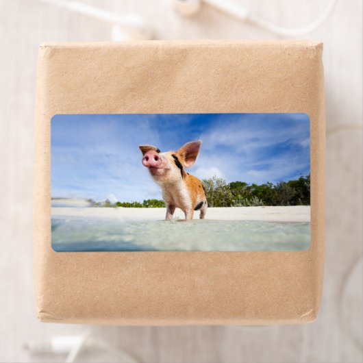 Kleine biggetje etiket (Insitu)