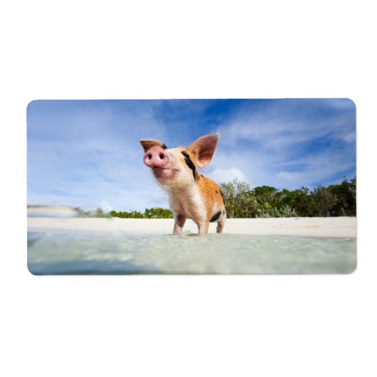 Kleine biggetje etiket (Voorkant)