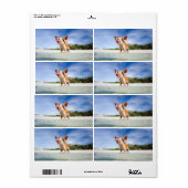 Kleine biggetje etiket (Full Sheet)