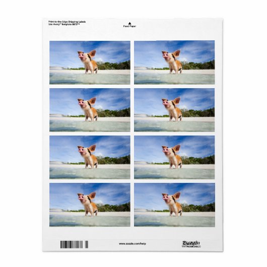 Kleine biggetje etiket (Full Sheet)