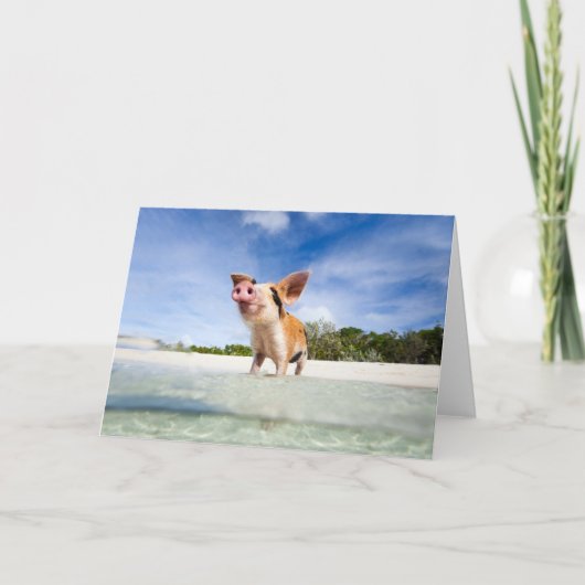 Kleine biggetje kaart (Voorkant)