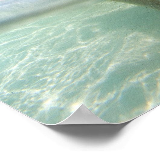 Kleine biggetje poster (Hoek)