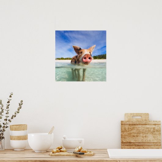 Kleine biggetje poster (Keuken)