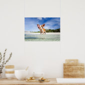 Kleine biggetje poster (Keuken)