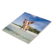 Kleine biggetje tegeltje (Zijkant)