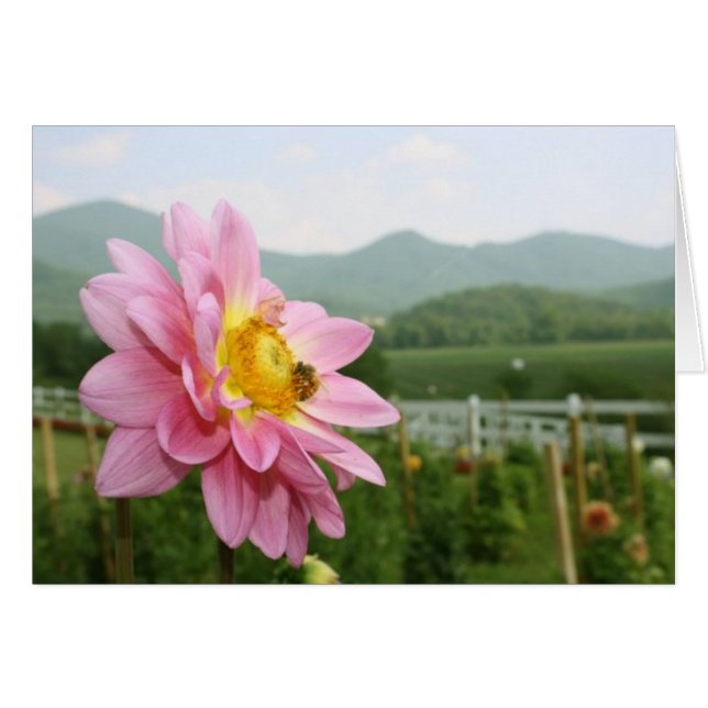 Kleine bijengrote wereld (Voorkant Horizontaal)