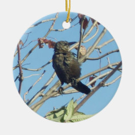 Kleine Birdie in een Ornament van de boomherdenkin