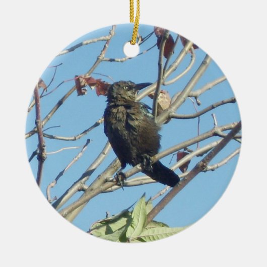 Kleine Birdie in een Ornament van de boomherdenkin (Voorkant)