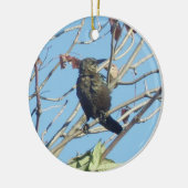 Kleine Birdie in een Ornament van de boomherdenkin (Links)
