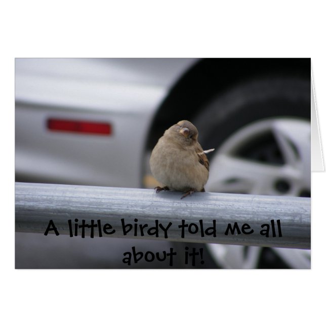 Kleine Birdy (!) (Voorkant Horizontaal)