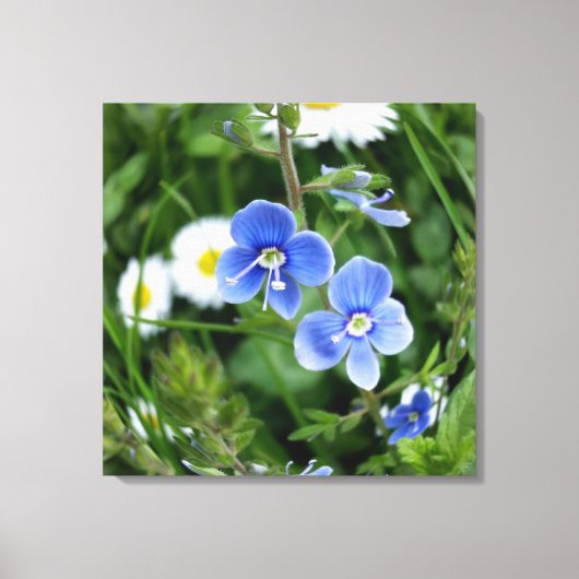 kleine blauwe bloemen canvas afdruk (Voorkant)