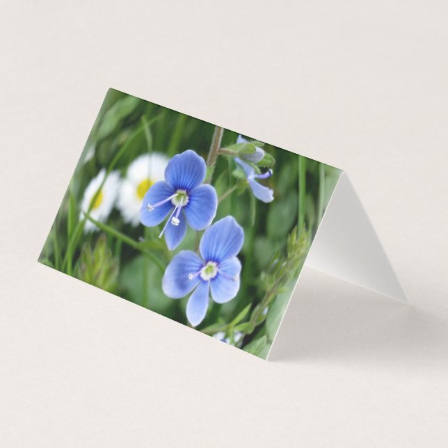kleine blauwe bloemen kaart (Voorkant)