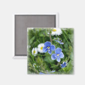 kleine blauwe bloemen magneet (Voorkant / Achterkant)