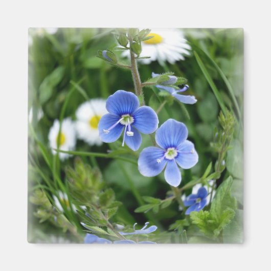 kleine blauwe bloemen magneet (Voorkant)