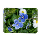 kleine blauwe bloemen magneet (Horizontaal)