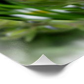 kleine blauwe bloemen perfect poster (Hoek)