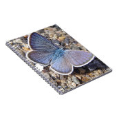 Kleine blauwe vlinder notitieboek (Rechterzijde)