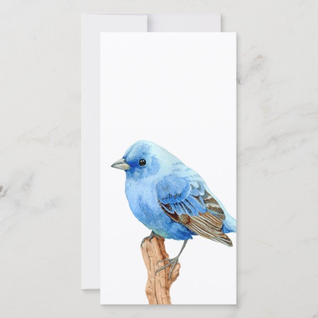Kleine blauwe vogel (Voorkant)