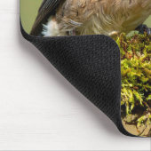 Kleine blauwe vogel muismat (Hoek)