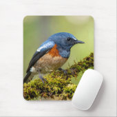 Kleine blauwe vogel muismat (Met muis)