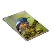 Kleine blauwe vogel notitieboek (Rechterzijde)