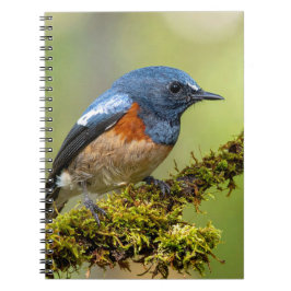 Kleine blauwe vogel notitieboek