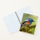 Kleine blauwe vogel notitieboek (Binnen)