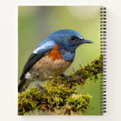 Kleine blauwe vogel notitieboek (Achterkant)