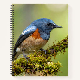 Kleine blauwe vogel notitieboek